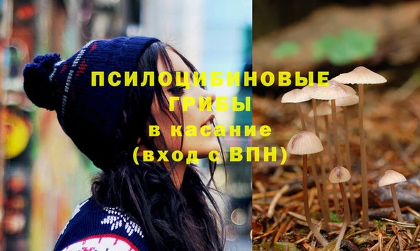 тгк Михайловск