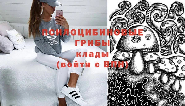 тгк Михайловск