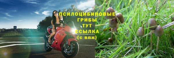 тгк Михайловск