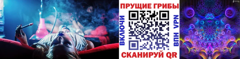 Купить  Астрахань  Галлюциногенные грибы Psilocybine cubensis 